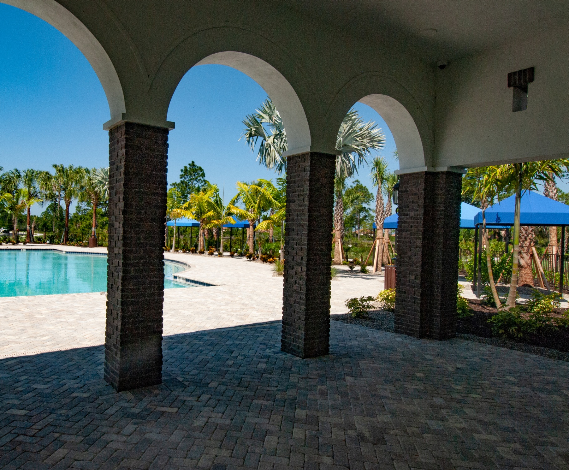 Resort pool framed by arched loggia and palm-lined deck at Vicenza