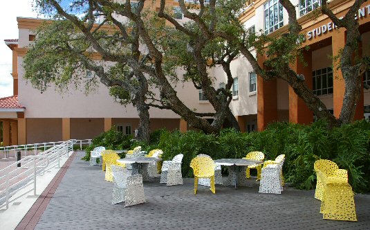 Shaded campus courtyard at Ringling College with live oak canopy and sculptural cafe seating